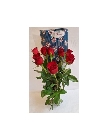 ROSA COL FREEDOM 70CM PREU TIJA POMX25