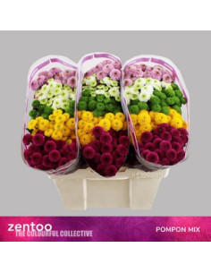 CRISANT. SANTINI PREU TIJA POMX25