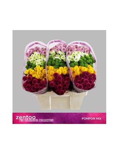 CRISANT. SANTINI PREU TIJA POMX25