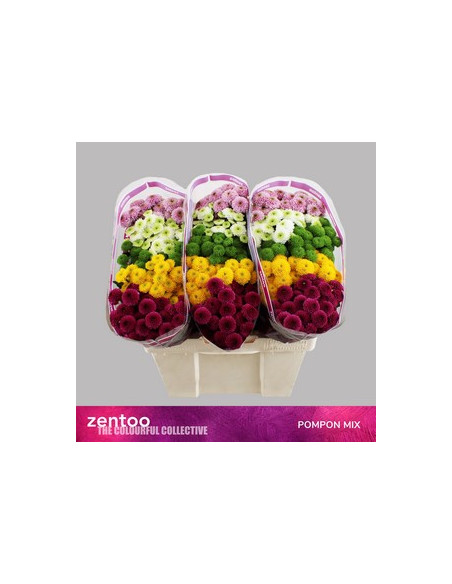 CRISANT. SANTINI PREU TIJA POMX25