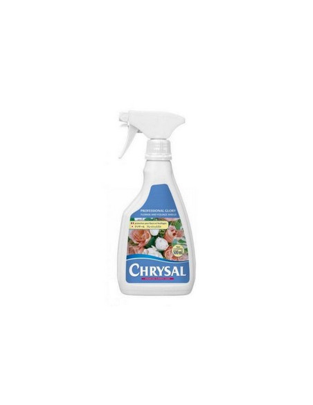 CHRYSAL CLEAR PROFESIONAL GLORY 500ML