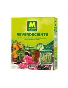 REVERDECIENTE MASSO 200GR