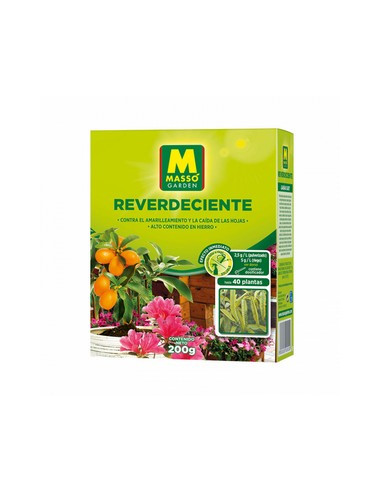 REVERDECIENTE MASSO 200GR