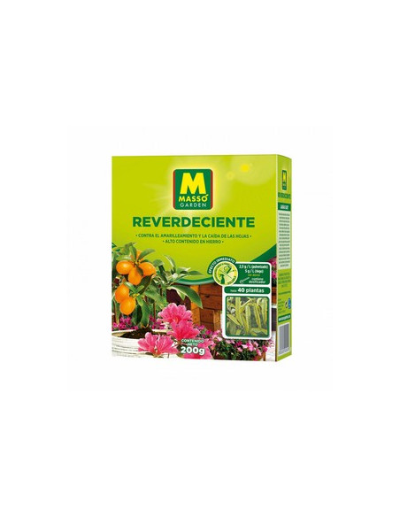REVERDECIENTE MASSO 200GR