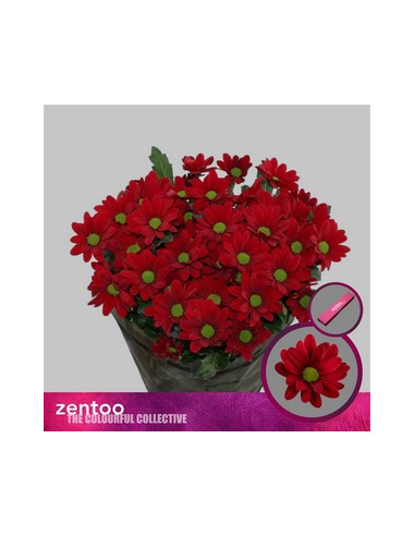 CRISANT. PREU TIJA POMX5