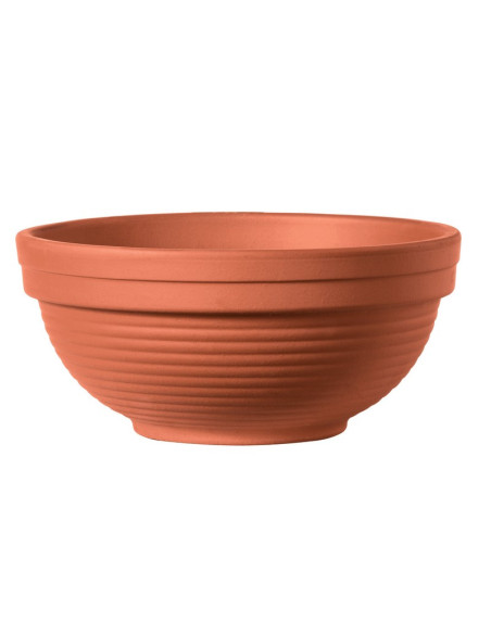 CIOTOLA GIGANTE 19CM