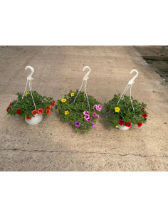 TRIXI MIX T17CM CALIBRACHOA