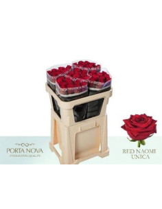 ROSA HOL RED NAOMI 70CM PREU TIJA POMX10