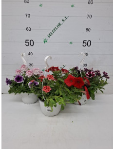 COMPOSICIO MIX T19CM PENJADOR